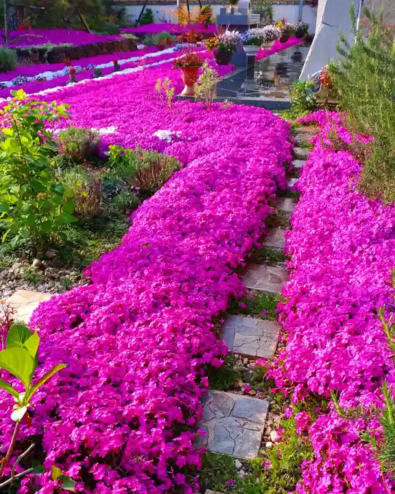 寿量山 速成寺の自然