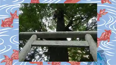 朝日氷川神社(埼玉県)