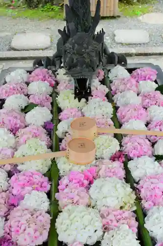 柳谷観音　楊谷寺の手水舎