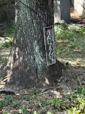 深大寺(東京都)