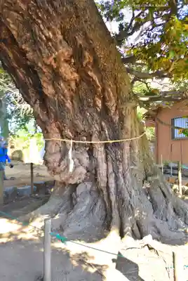 九重神社(埼玉県)