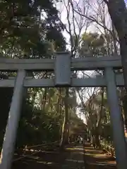 喜多見氷川神社の鳥居