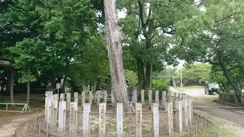 日吉神社の自然