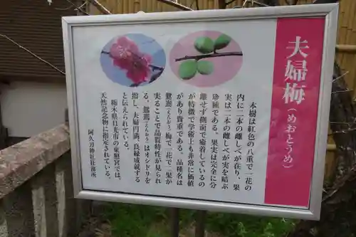 阿久刀神社のその他建物