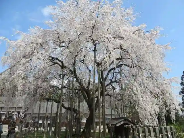 足羽神社(福井県)