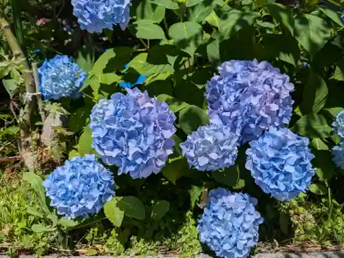 西野神社(北海道)