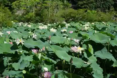 東行庵(山口県)