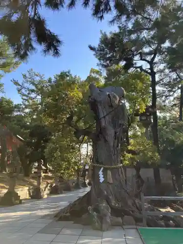 住吉大社の自然