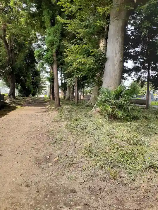 酒門神社の自然