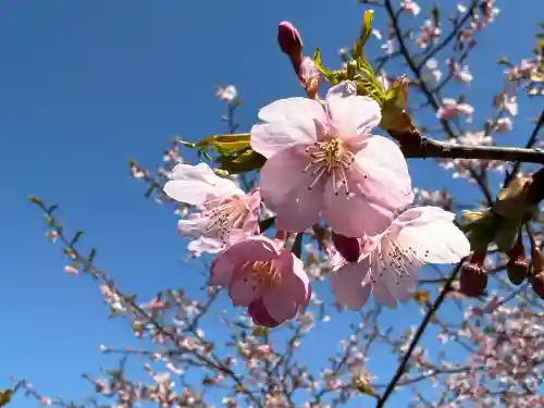 箕輪山満行院霊巖寺(埼玉県)