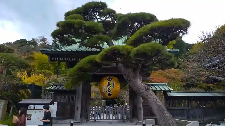 長谷寺(神奈川県)