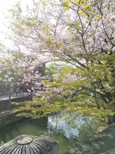 阿智神社の周辺