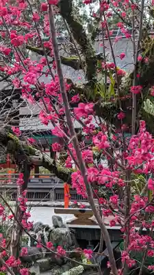 賀茂御祖神社（下鴨神社）(京都府)