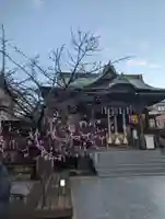 桜神宮(東京都)