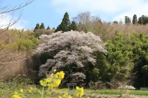 正一位稲荷神社の景色