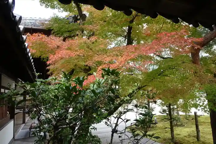 仁和寺のその他建物