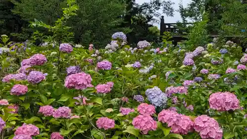  智積院(京都府)