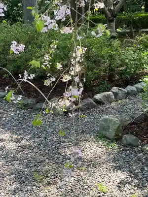 國吉神社(千葉県)