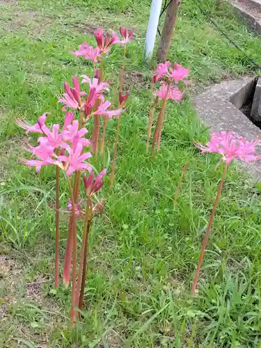 横浜　西方寺(神奈川県)