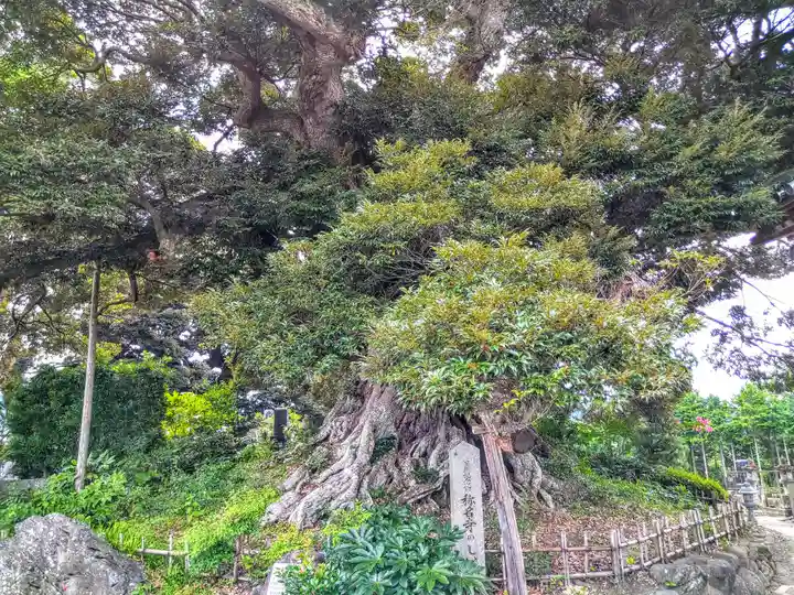 称名寺(宮城県)