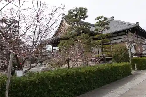 妙蓮寺の本殿・本堂