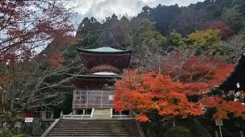 法輪寺(京都府)