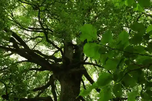 荏柄天神社(神奈川県)