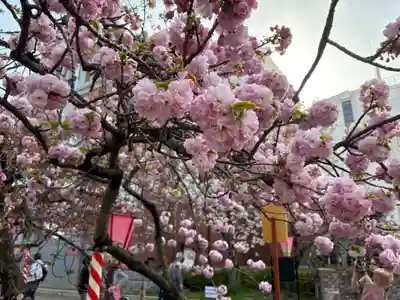 大阪天満宮(大阪府)