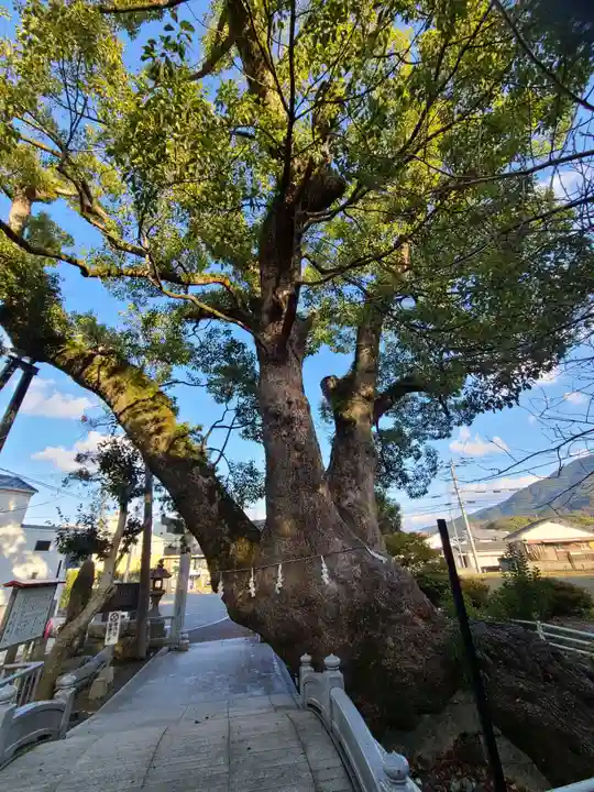 篠栗総鎮守 老松神社(福岡県)