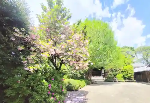 高円寺(東京都)