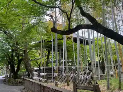 修禅寺(静岡県)