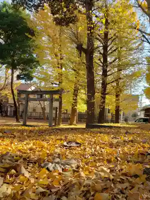 愛宕神社の自然