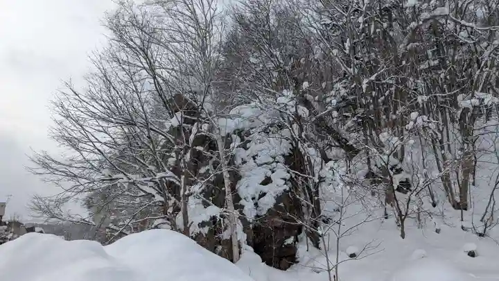 水神龍王神社の自然