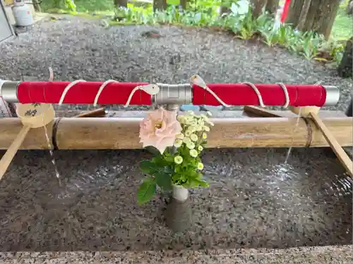須山浅間神社(静岡県)
