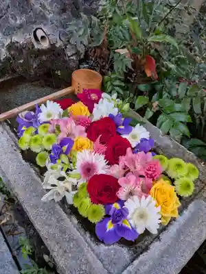 本郷氷川神社(東京都)