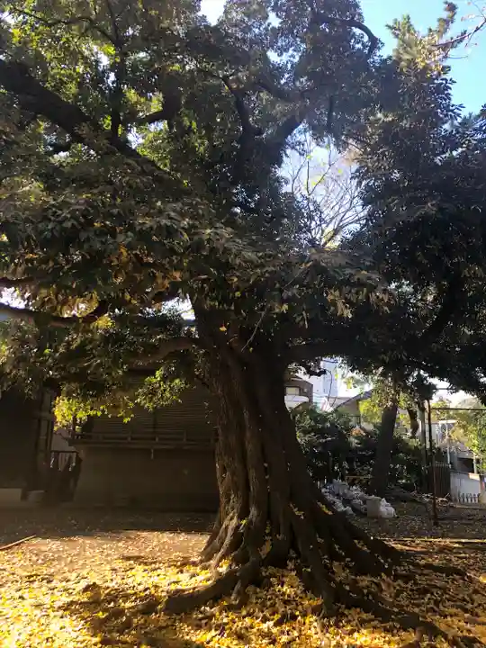 長崎神社(東京都)