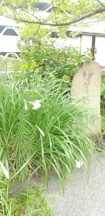 亀戸浅間神社の自然