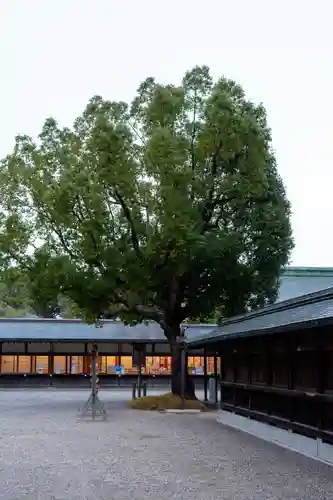 宗像大社(福岡県)