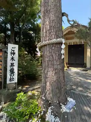 菟橋神社(石川県)