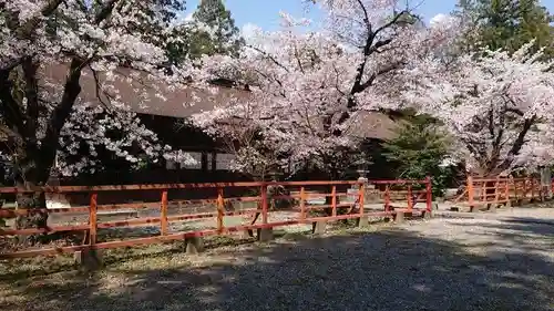 大井俣窪八幡神社の自然