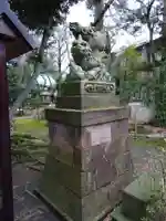 淺野神社の狛犬