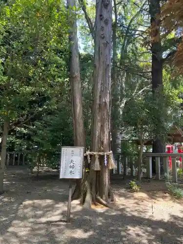 常陸第三宮　吉田神社の{uncategorized: "未分類", other: "その他", undefined: "問題あり", building: "その他建物", grave: "お墓", sacred_gate: "鳥居", guardian: "狛犬", statue: "像", buddha: "仏像", history: "歴史", nature: "自然", garden: "庭園", animal: "動物", pagoda: "塔", temizu: "手水舎", mountain_gate: "山門・神門", sanctuary: "本殿・本堂", subordinate: "末社・摂社", art: "芸術", scenery: "景色", jizo: "地蔵", ema: "絵馬", goshuin: "御朱印", omikuji: "おみくじ", items: "授与品その他", amulet: "お守り", goshuincho: "御朱印帳", eats: "食事", festival: "お祭り", votive_dance: "神楽", shichigosan: "七五三参", wedding: "結婚式", experience: "体験その他", initially: "初詣", around: "周辺", anti_infection: "感染症対策"}