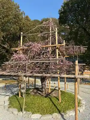 橿原神宮の{uncategorized: "未分類", other: "その他", undefined: "問題あり", building: "その他建物", grave: "お墓", sacred_gate: "鳥居", guardian: "狛犬", statue: "像", buddha: "仏像", history: "歴史", nature: "自然", garden: "庭園", animal: "動物", pagoda: "塔", temizu: "手水舎", mountain_gate: "山門・神門", sanctuary: "本殿・本堂", subordinate: "末社・摂社", art: "芸術", scenery: "景色", jizo: "地蔵", ema: "絵馬", goshuin: "御朱印", omikuji: "おみくじ", items: "授与品その他", amulet: "お守り", goshuincho: "御朱印帳", eats: "食事", festival: "お祭り", votive_dance: "神楽", shichigosan: "七五三参", wedding: "結婚式", experience: "体験その他", initially: "初詣", around: "周辺", anti_infection: "感染症対策"}