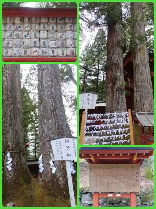 日光二荒山神社(栃木県)