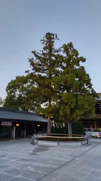 寒川神社の自然