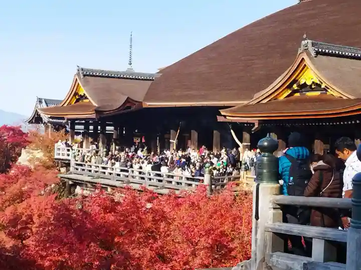 清水寺(京都府)