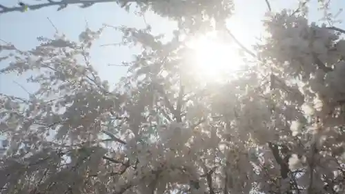 足羽神社(福井県)