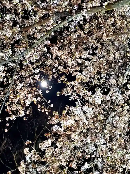 如宝寺(福島県)