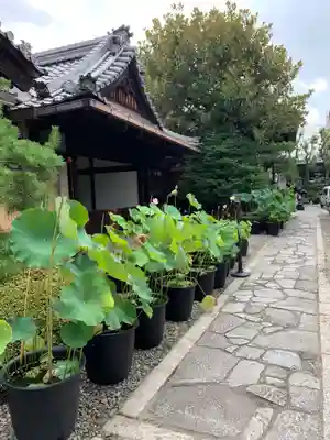 行願寺（革堂）のその他建物