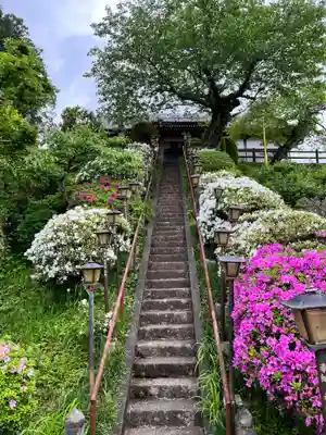 阿彌陀院(茨城県)